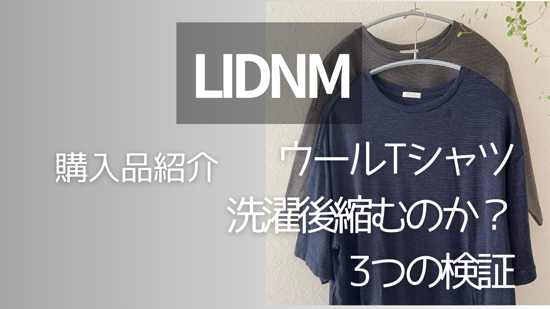 LIDNM WOOL T