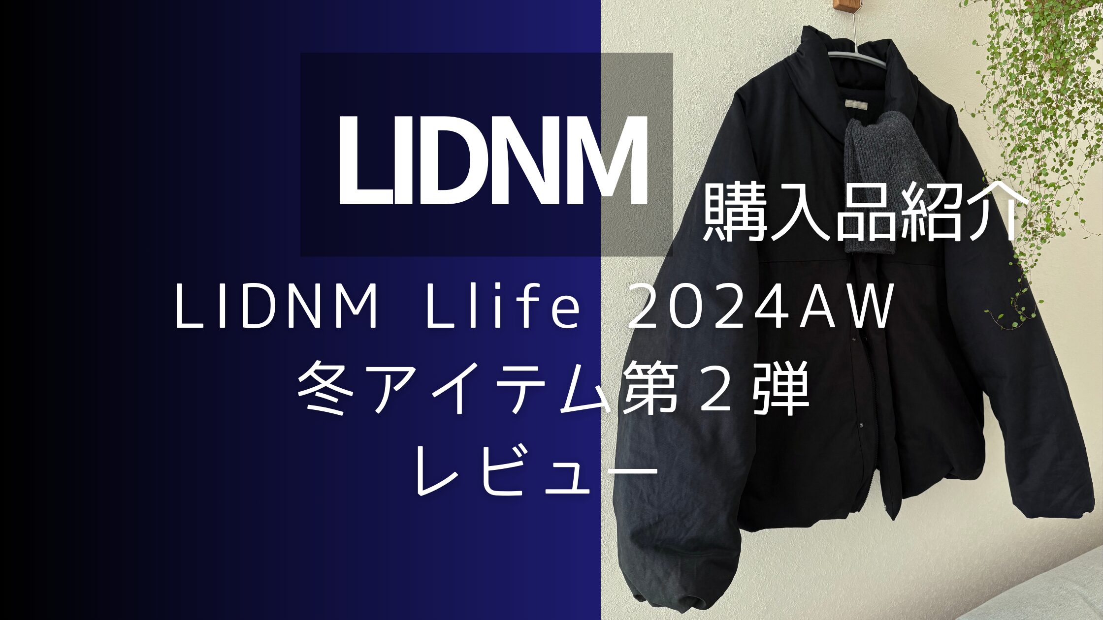 LIDNMダウンレビュー